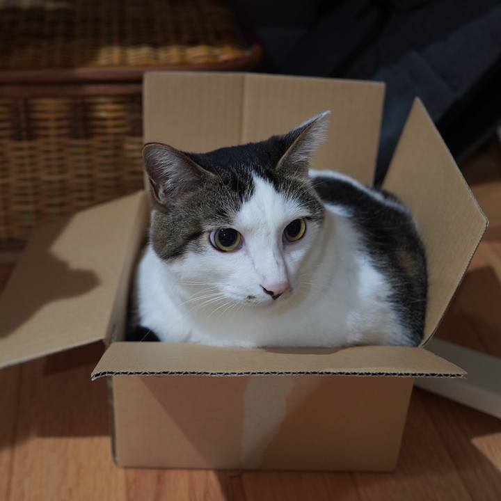 Cb4c8d21 26fb 400a 86dd 927e4d1f5861 1597240156540