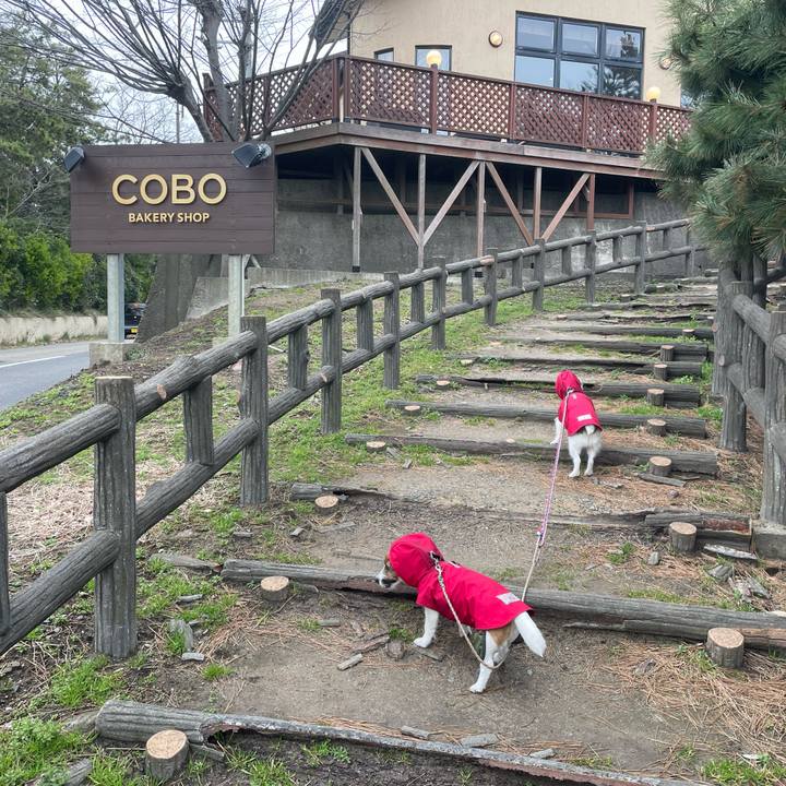 Cb4c9fa7 a1e6 49b0 9418 1842118d8d68 1743464641196