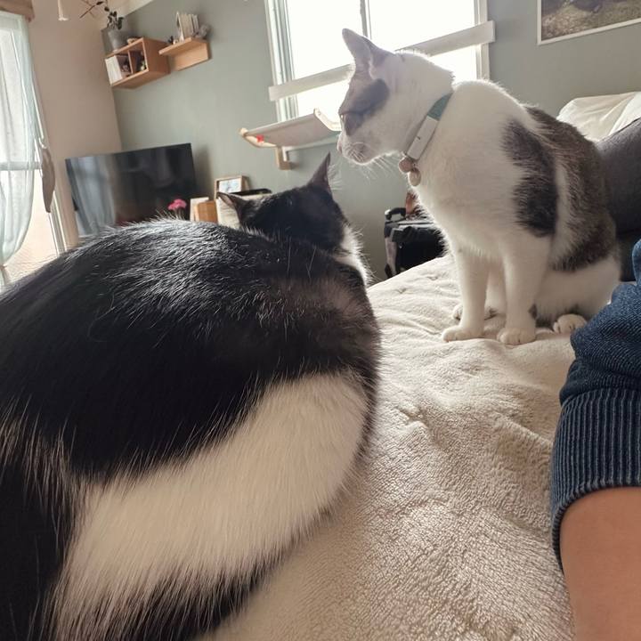 Cb4cb709 cdc7 4516 a6c3 76ffd10e2dfa 1775781522565