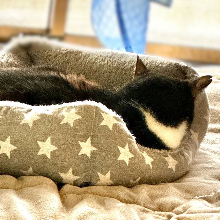 Cb4cc6d1 25f3 42f7 888e ee49d5904bb1 1734063294999