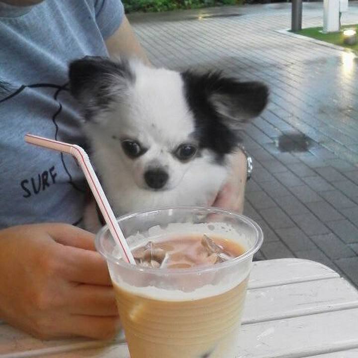 Cb4ce4ae 586f 46a5 8845 5d93dae05621 1523420517036