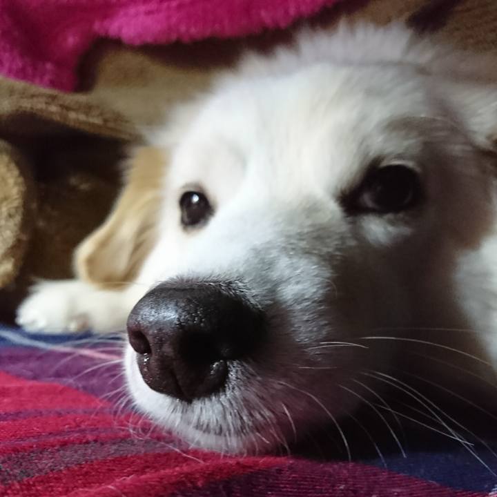 Cb4ce5c4 ecfc 42f9 9bbb 2b450b1e44cc 1517174605009