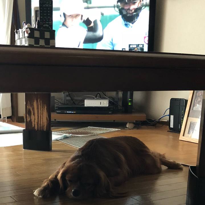 Cb4ce7cf 5e19 45e1 b683 8c597cb212ce 1534032780843