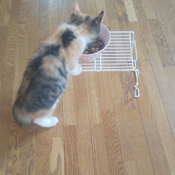 Cb4d0901 1e8f 43a9 9be7 dd465337820f 1722036607910