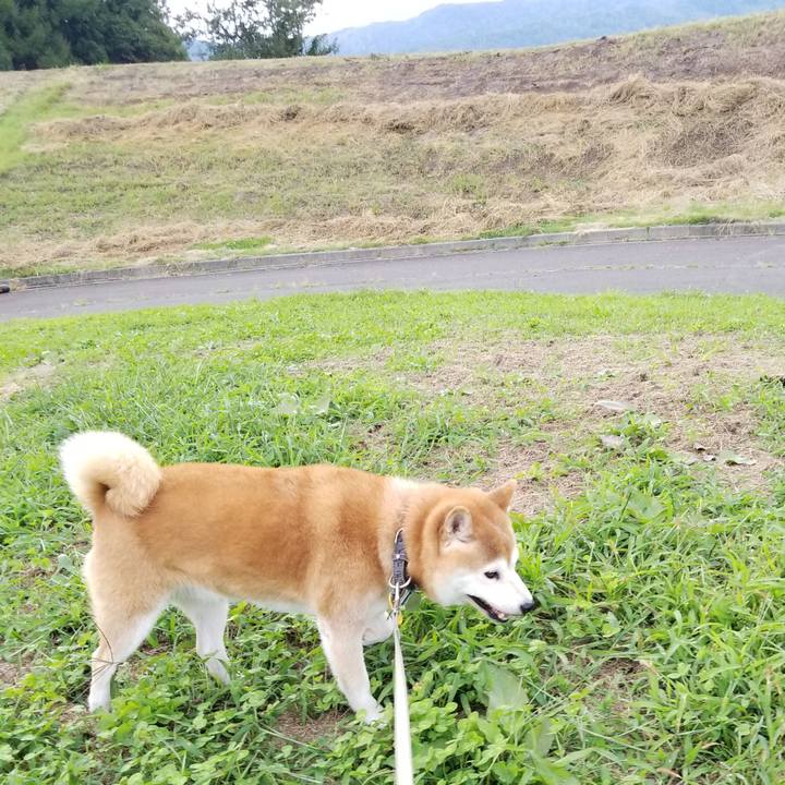 Cb4d1cbf 06c5 4a46 adf5 feb4b3b31556 1631776613437