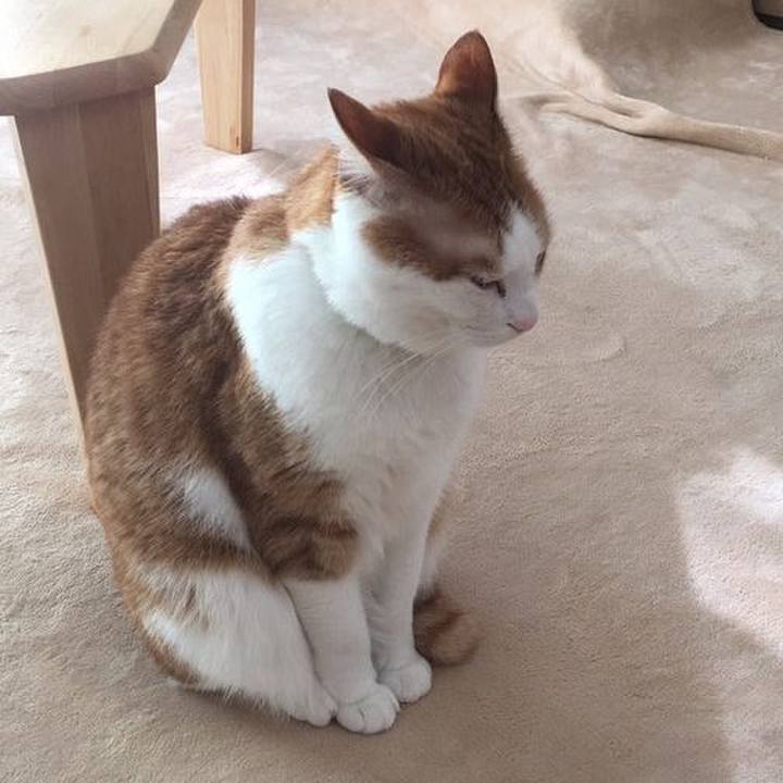 Cb4d51d4 a490 4edc 99d0 f9d14907049b 1520747031062