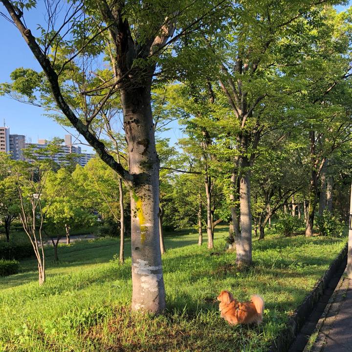 Cb4d5411 28be 4eab b434 d1e2a48b3176 1560376099390