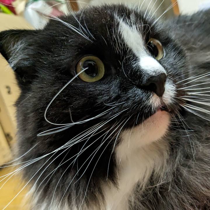 Cb4d8bdf 3b20 4d65 8416 61a74d834187 1703770072248