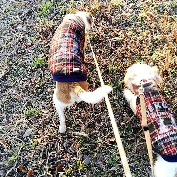 Cb4d9e80 88f4 457c aee6 332829fe320f 1546308055163