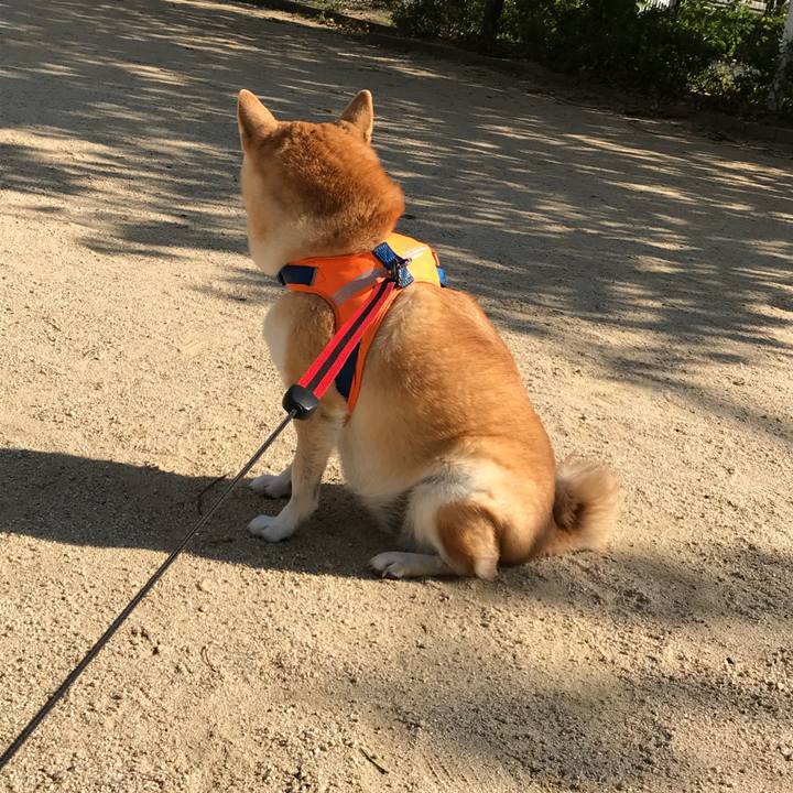 Cb4d9edb fd00 41c6 8cca c7d6867e86bd 1508990369359