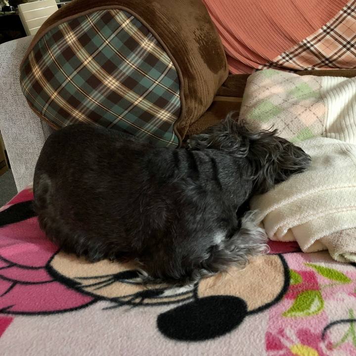 Cb4de344 7a38 400d bcad bd773e59bc80 1692777885180