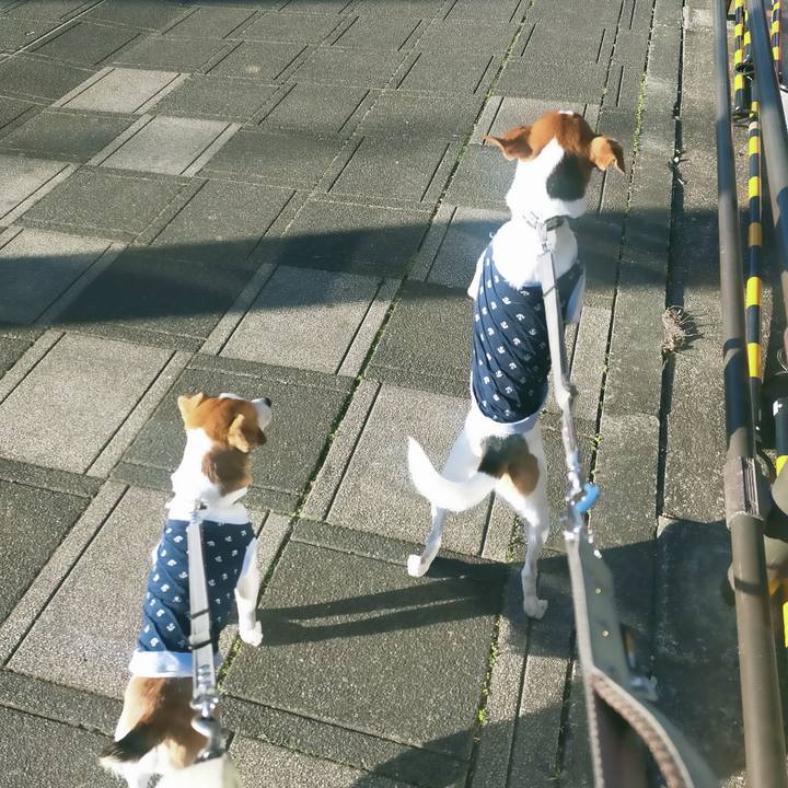 Cb4dedab 48ff 411f 9e8d a15aa79889b7 1765442057778