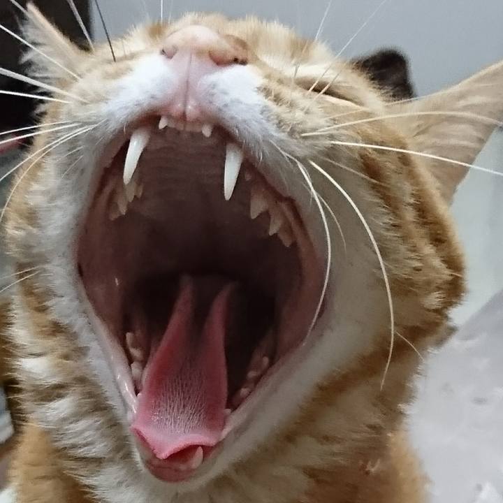 Cb4e45d3 f85a 43e6 aff3 2515994fe669 1509147132139