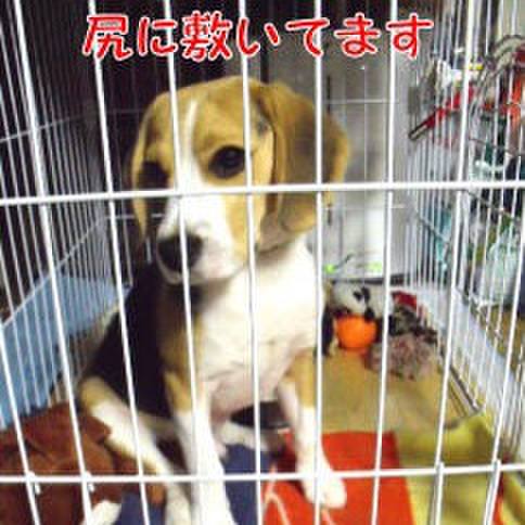 Cb4e5dcc aef1 4b3f 98dd cdf8d7d392b3 1682554397526