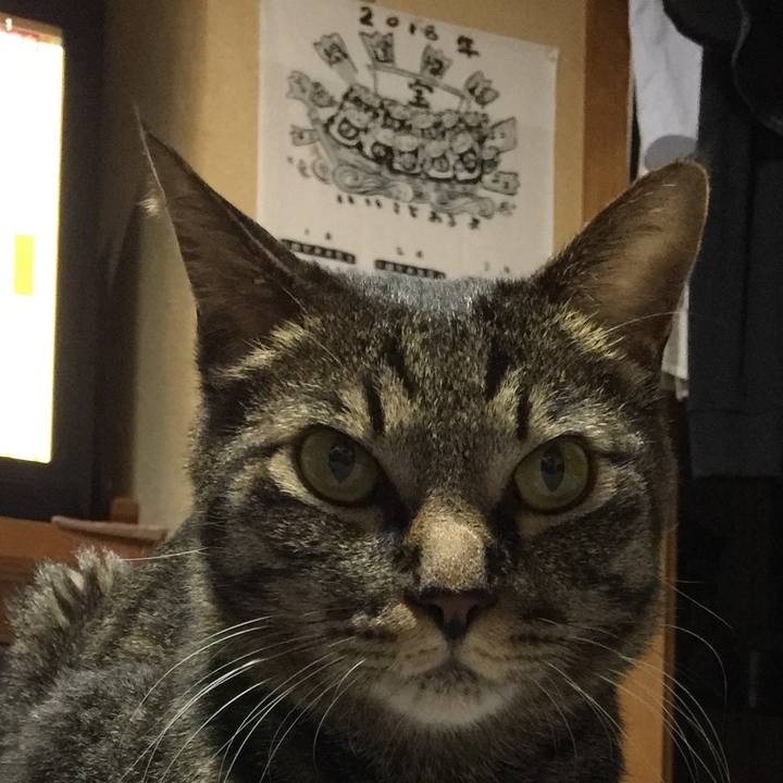 Cb4e654d a325 4b12 9a4a 0f2d2a65f866 1532172028155