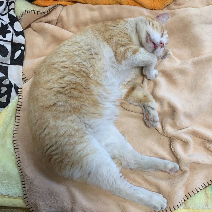 Cb4f12e5 1d6a 4356 89bc b06cf5c2cfc3 1561869329032