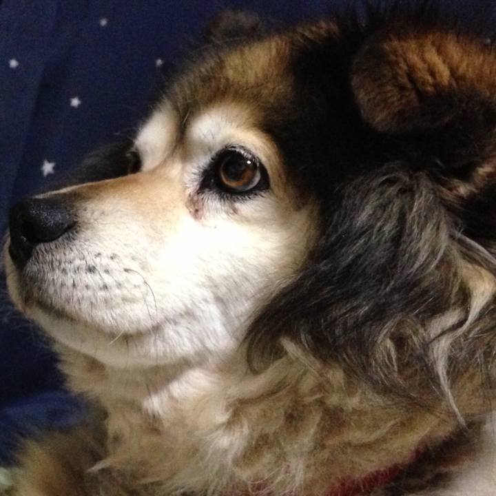 Cb4f407a 78a8 47d5 a2b6 f7951e66e654 1550547557766