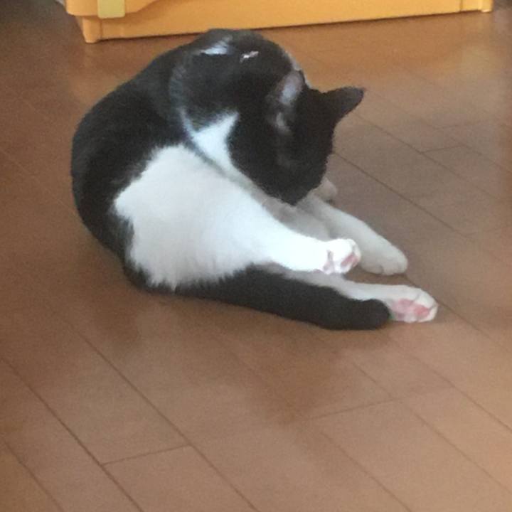 Cb4faf38 799a 4585 95a9 40dfd002aa56 1613360030724