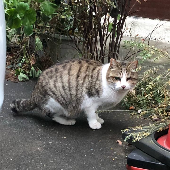 Cb4fbd59 2cee 407b 8ecc 8b47e242a844 1517568182529