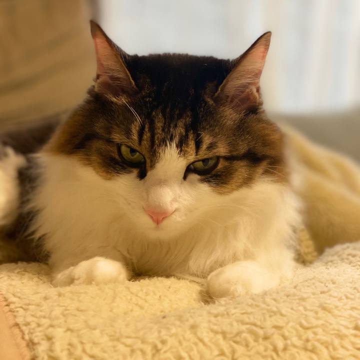 Cb4fd2aa f681 41f2 a3d9 4c434ccda7dc 1574381374777