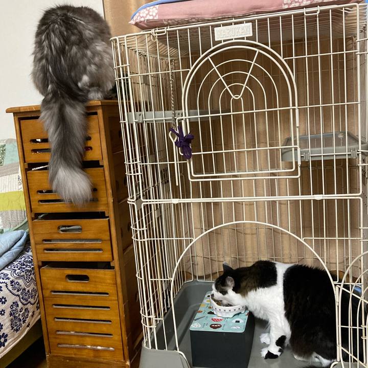 Cb4fea70 e146 4d93 b94a d3a2de26e08e 1708990612952