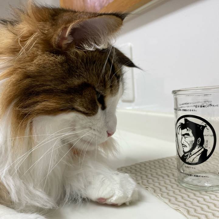 Cb5023c6 562c 4c0c ae6c 414cd651bc3c 1667167138380