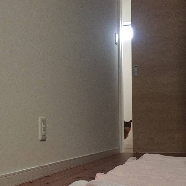 Cb5031b0 d518 4ba8 8a55 0f2e5665133c 1614398495013