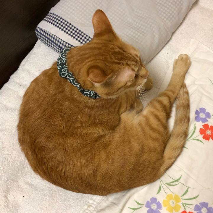 Cb5065c1 ec28 41bf 9ab7 3f375eff02a4 1576913215854