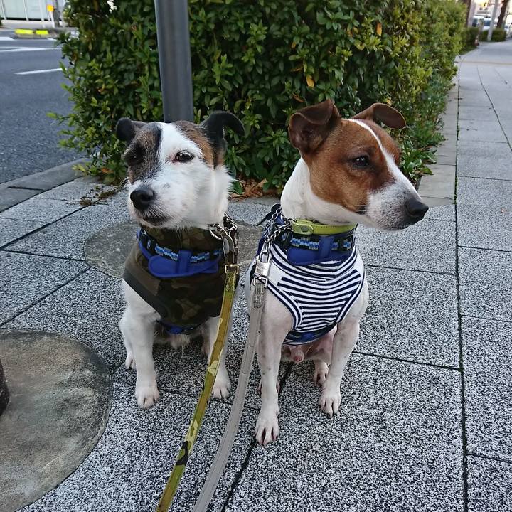 Cb50b7c5 134d 4fdb be07 a7448c22d8b6 1580424395845