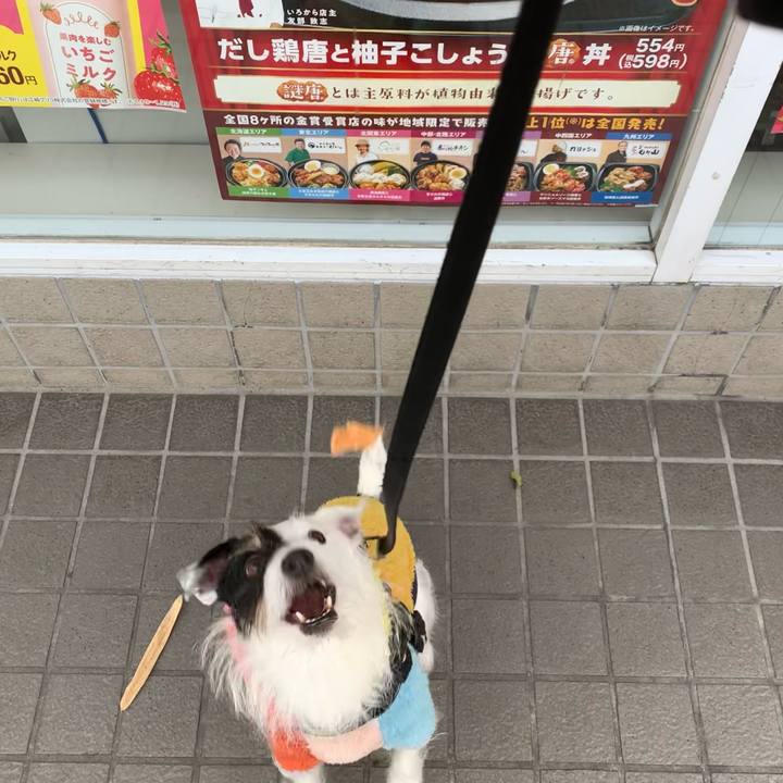 Cb511b81 8159 4f69 9a25 afbe2368aac3 1674263853899