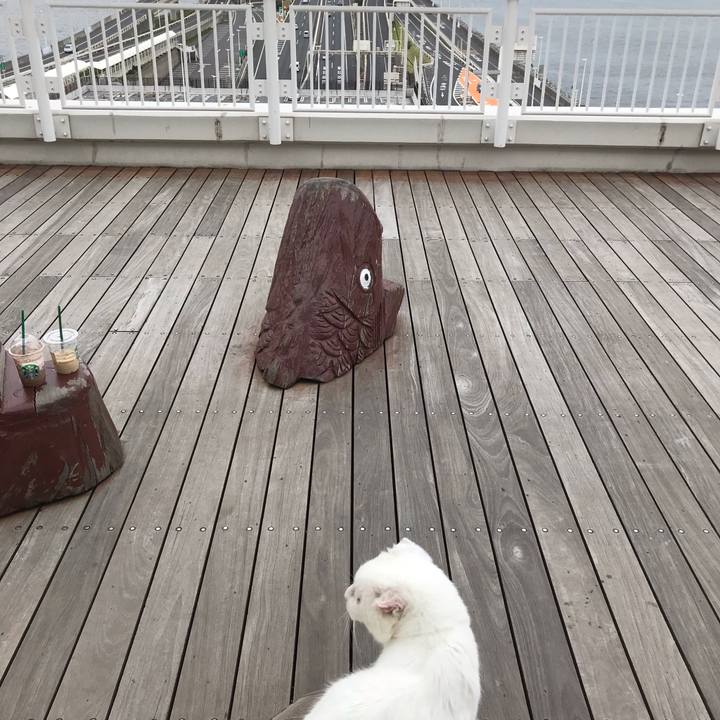 Cb512009 28c2 45c5 9fd5 2f17e8ce33d7 1563612383386