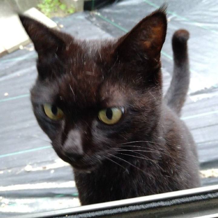 Cb513a91 2f4e 4d93 9ec5 e67ee87471a4 1651489867197