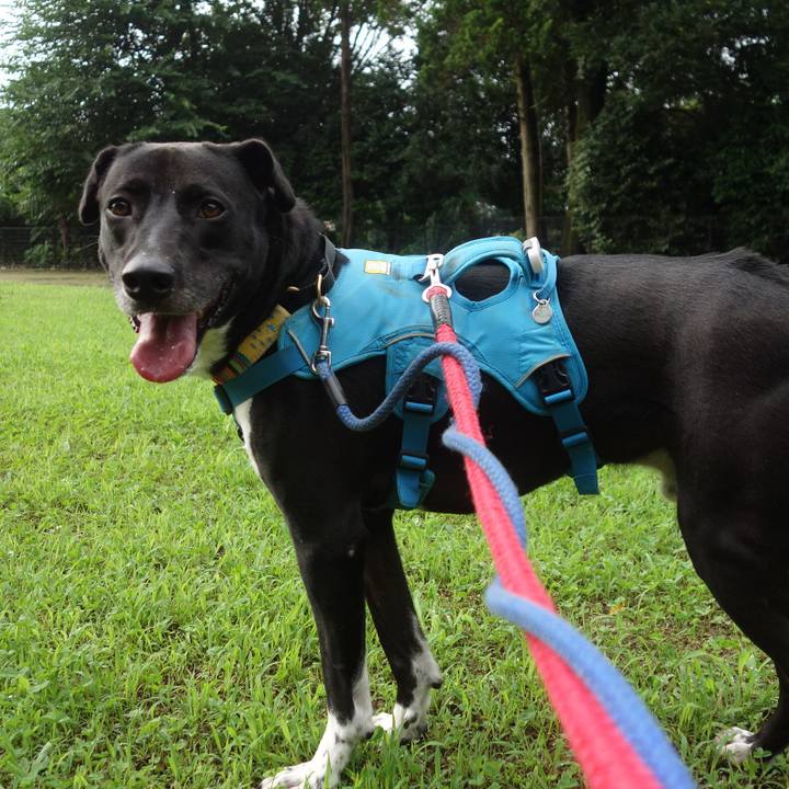 Cb514aca c38b 4edb b461 0cd9adfd9660 1625969277726