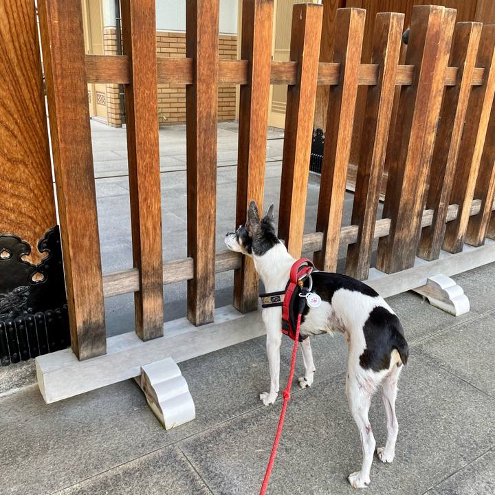 Cb5159d7 e166 48f7 a742 c9281d4065a2 1633231142709