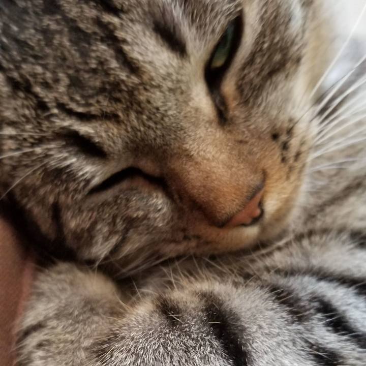 Cb515a19 4db5 4b79 87e2 faeaa0c3a99d 1684850918892