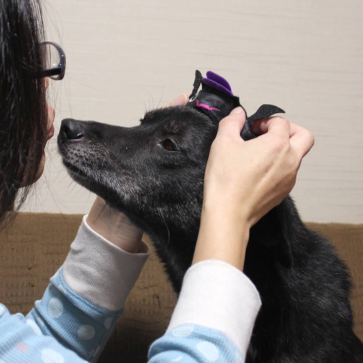 Cb515bc4 0904 4f82 879d 7750ef3313cc 1610063036137