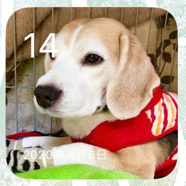 Cb5178ff 3201 4df7 b16c 0cf83de441b9 1713055451242