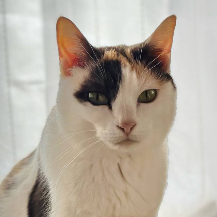 Cb518b5b f32a 47d9 b95c 350440ba5708 1683595428808