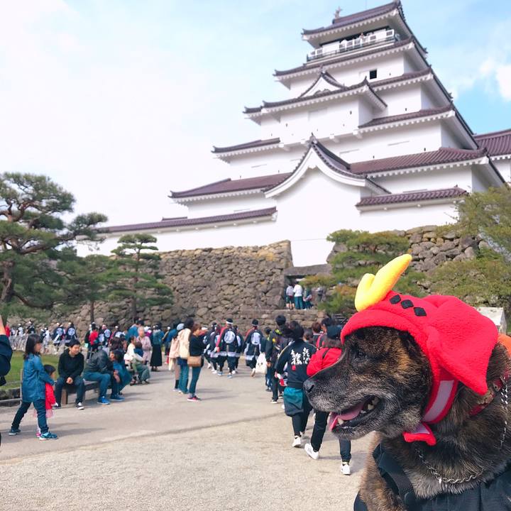 Cb5197c6 c810 4c04 b75b 09041c29529d 1556979018687