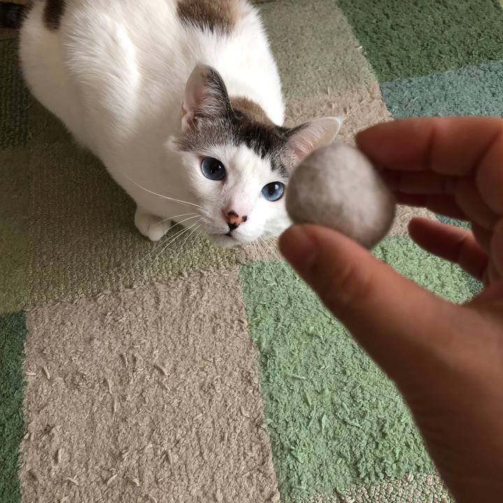 Cb51e3ae ffeb 40f5 b683 97a284d2b06e 1621842331667