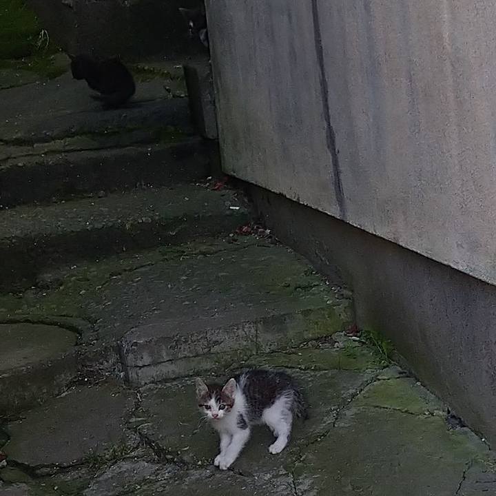 Cb52361d 5c4d 49a8 95f5 3213ebbdae36 1662297492044