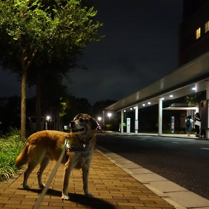 Cb52799d 869b 43dd 9ced d08d13a8d0ea 1535799830604