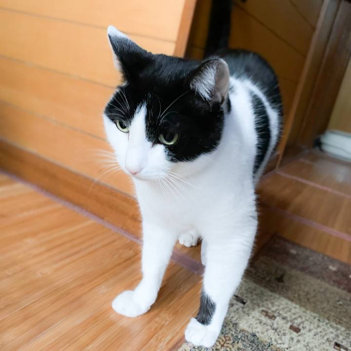 Cb528e3c 74ec 4748 9350 8034b103171f 1580434707742