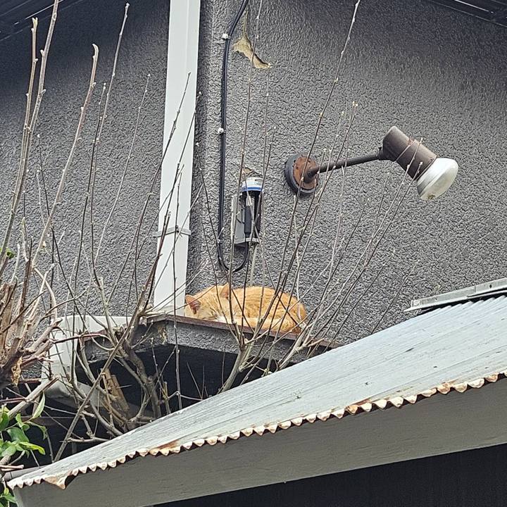 Cb5294d4 1302 4358 b5d1 aaa5d17533ce 1711618105096