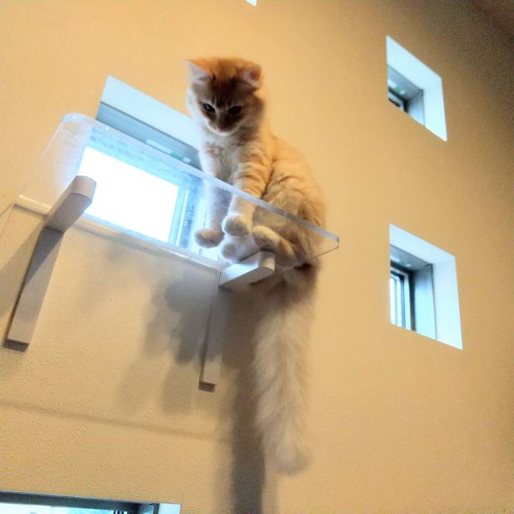 Cb529726 f24e 4738 b128 9e5a2cdcc132 1616904126794