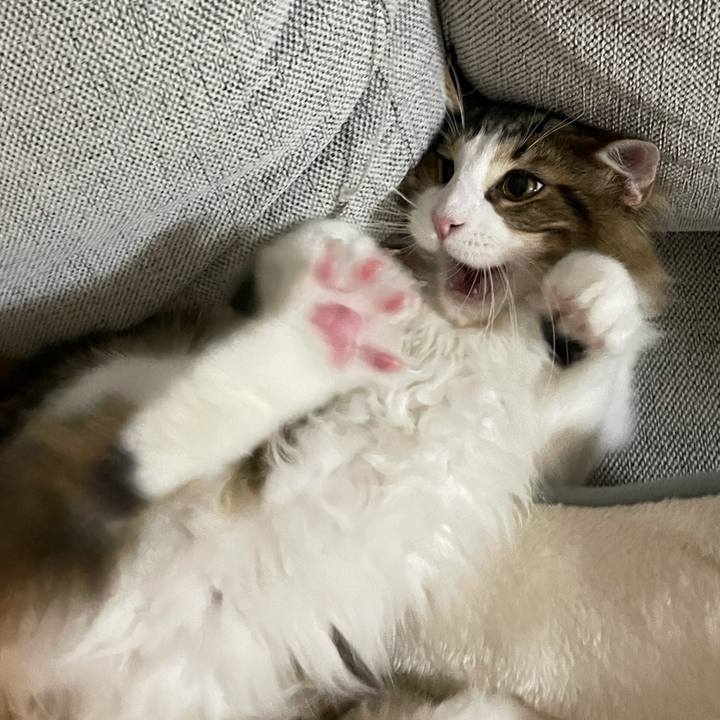 Cb52aa62 609b 4612 b2bc 72068308f11a 1636030314300