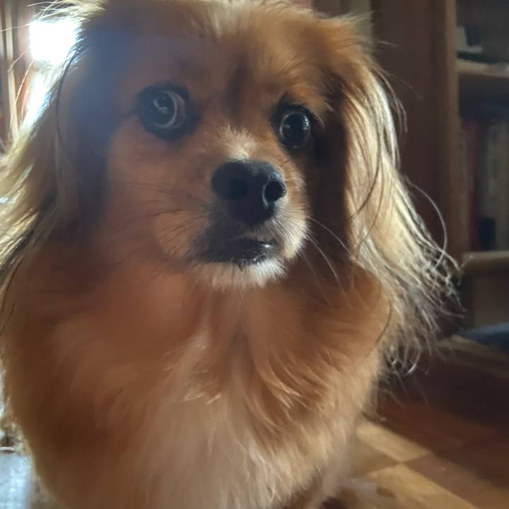 Cb52ae8a acd9 4ba9 8662 45301f684c5f 1629152526392