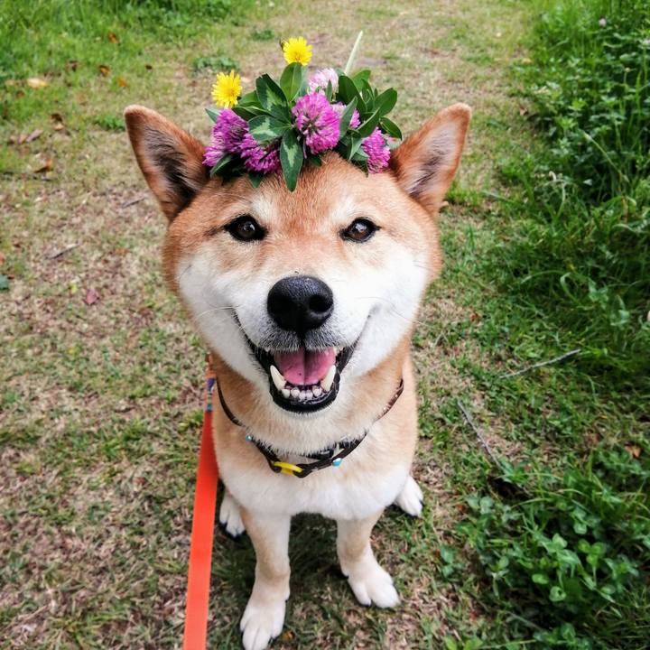 Cb52f1e1 9a15 4694 a2ca 17141ca96fd3 1588575470757