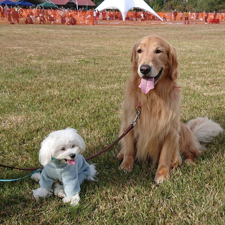 Cb531498 de64 46dd 829d fd87e6f15b15 1572874733538