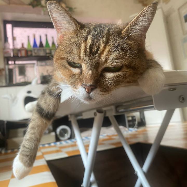 Cb532565 9c6b 4185 a7a9 4a5b4ab99412 1755816300378